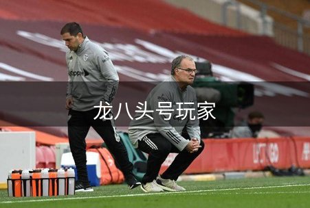 走进龙八头号玩家